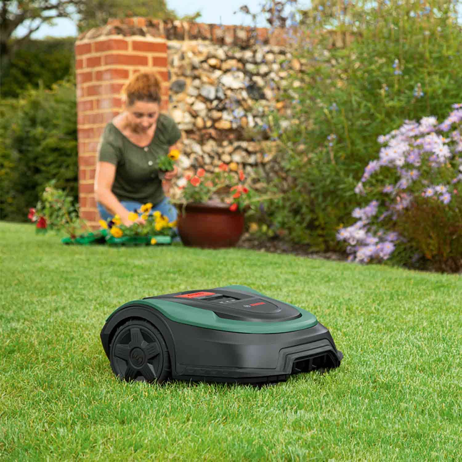 Bosch Indego XS 300 : test, prix et avis 2026 - Image 2