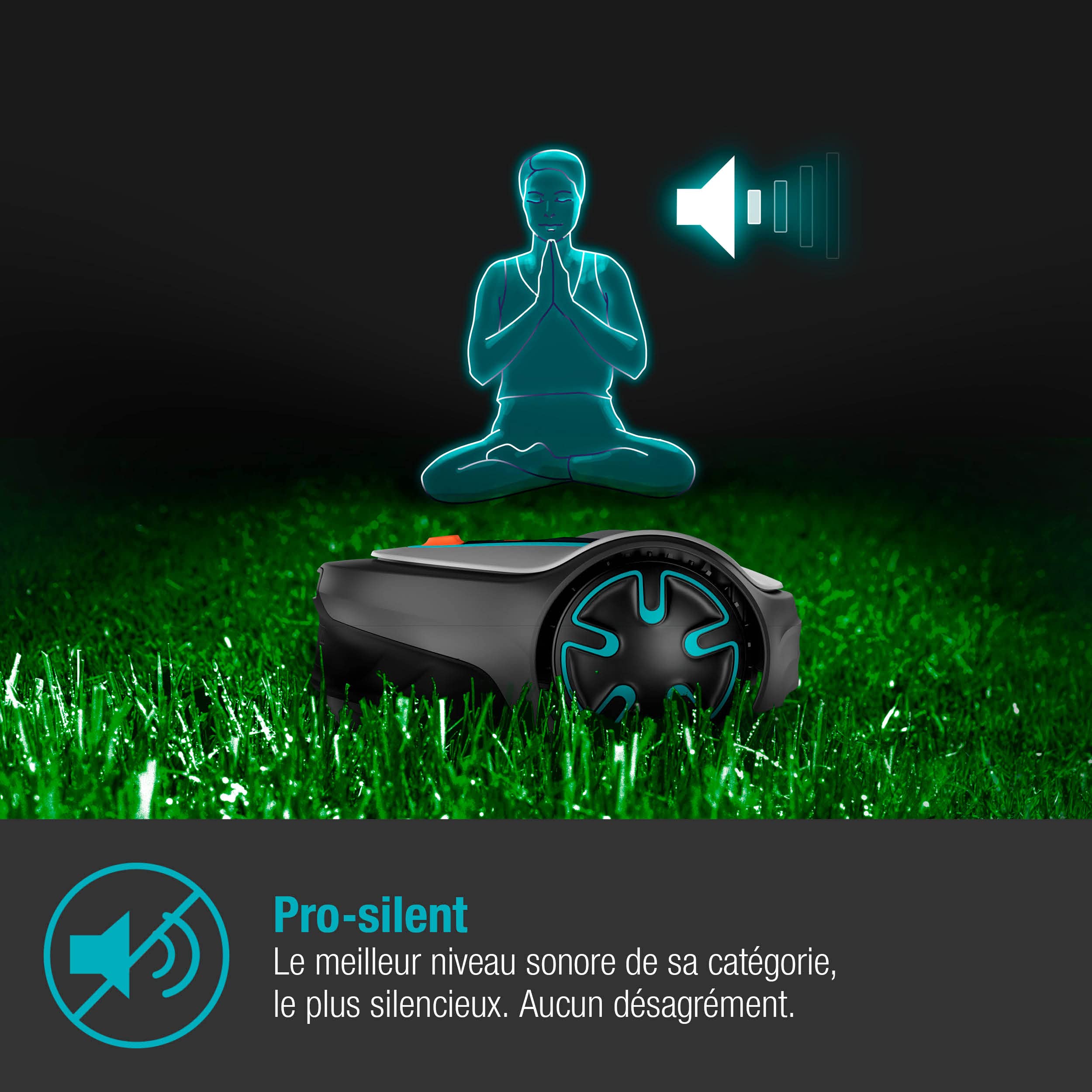 Gardena Sileno minimo 250 : test, prix et avis 2026 - Image 3